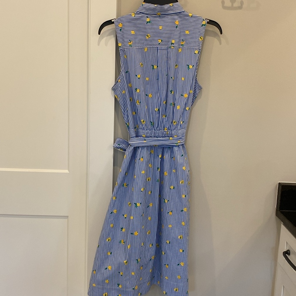 J.Crew Factory  Blue striped Dress with Yellow Lemons - Picture 8 of 8